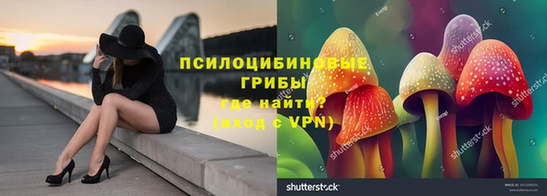 бошки Медвежьегорск